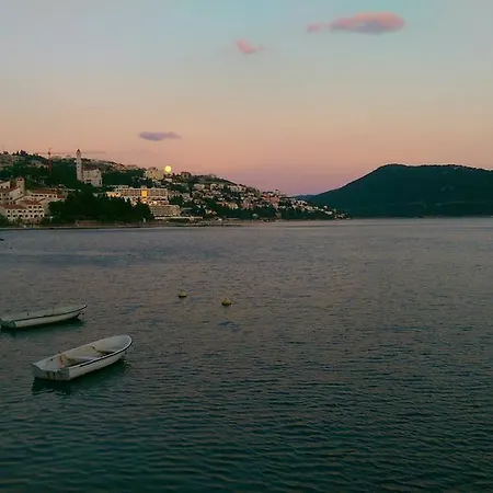 Lezenic Dada * Neum
